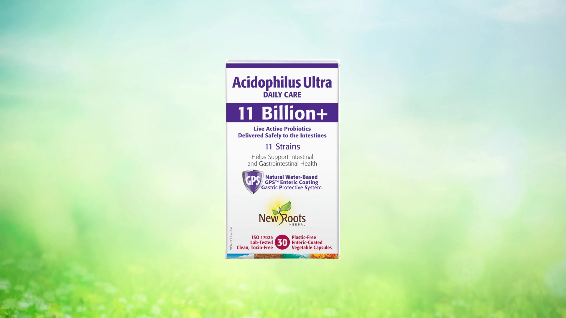 Thumbnail for Acidophilus Ultra